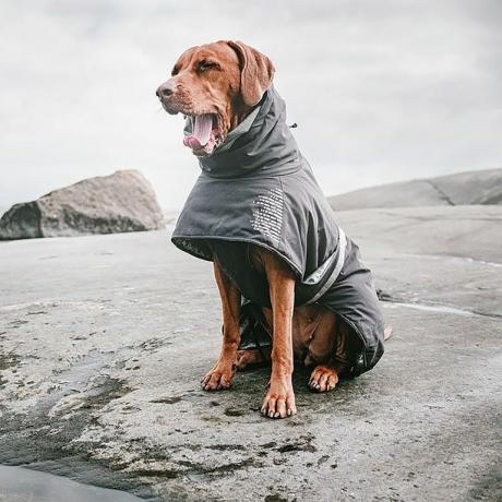 Hurtta Extreme Warmer Dog Coat-billede