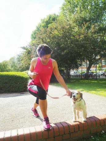træning med hund