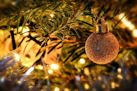 Der er en uventet sundhedsrisiko forbundet med dit juletræ