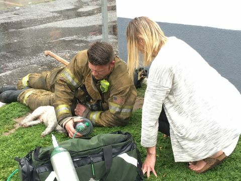 Brandmand redder hund