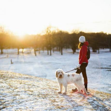 hundeture om vinteren