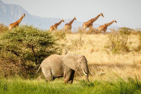 Nairobi, Kenya