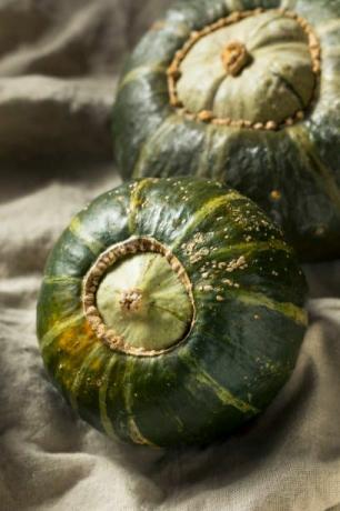 rå organisk smørblød squash klar til at skære