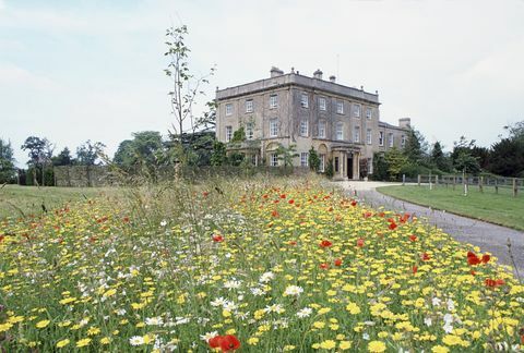 tetbury, Det Forenede Kongerige 14. juli en vild blomstereng plantet af prins charles i highgrove, hjemsted for wales familiefoto af tim graham fotobibliotek via getty images