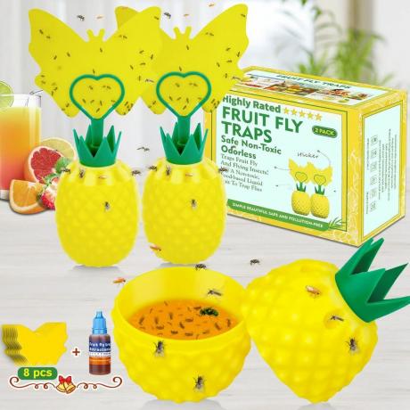 Ananas frugtfluefælde