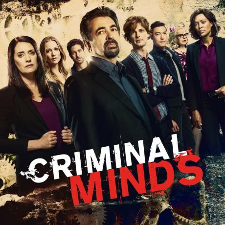 'Criminal Minds'
