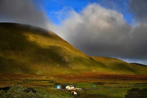 foula ø shetland skotland